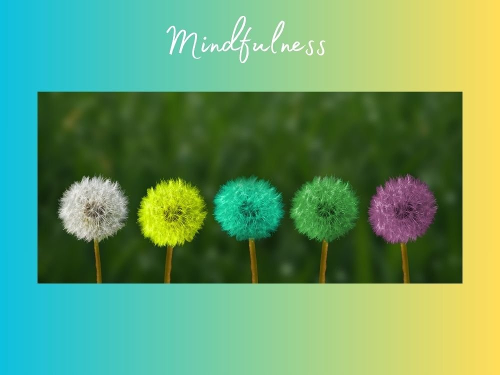 Mindfulness no cotidiano